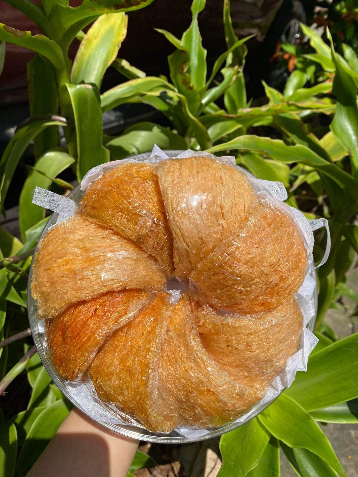Hồng Yến Rút Lông Thượng Hạng ( Seasonal )